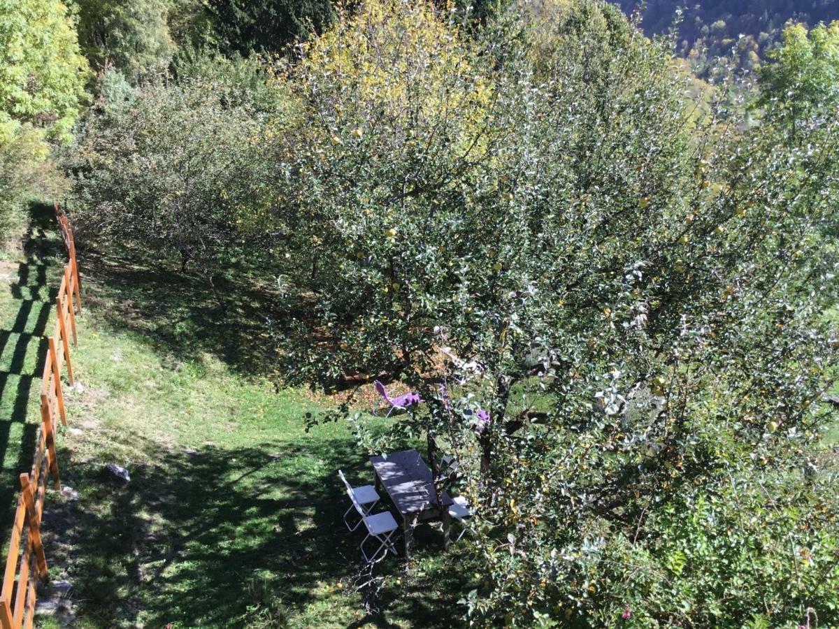 Les Ardoisiers Villa Vénosc Buitenkant foto